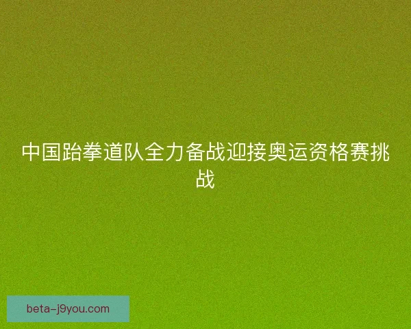 中国跆拳道队全力备战迎接奥运资格赛挑战